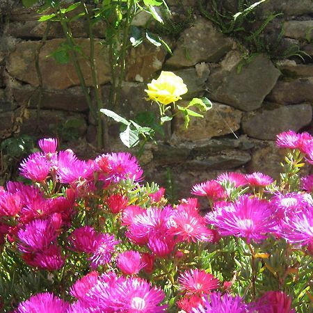 Liosderrig House B&B Glenbeigh Εξωτερικό φωτογραφία