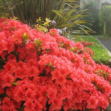 Liosderrig House B&B Glenbeigh Εξωτερικό φωτογραφία