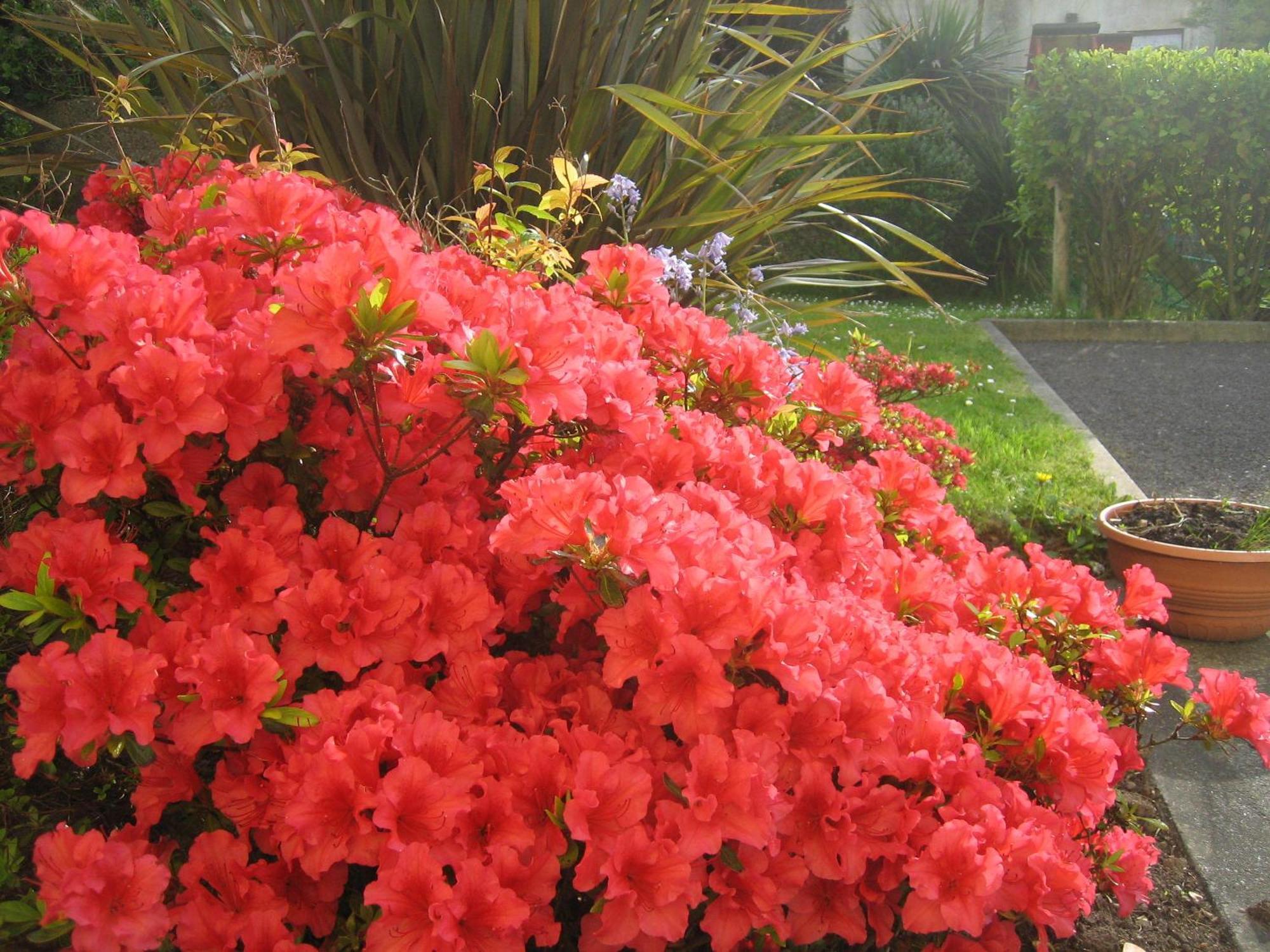Liosderrig House B&B Glenbeigh Εξωτερικό φωτογραφία