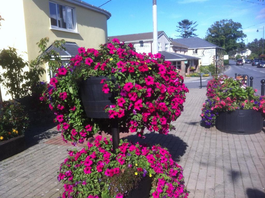Liosderrig House B&B Glenbeigh Εξωτερικό φωτογραφία