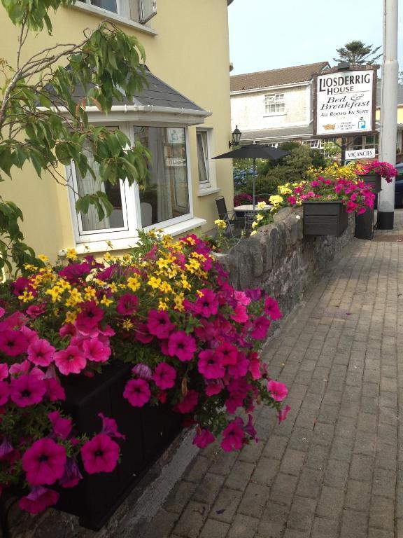 Liosderrig House B&B Glenbeigh Εξωτερικό φωτογραφία
